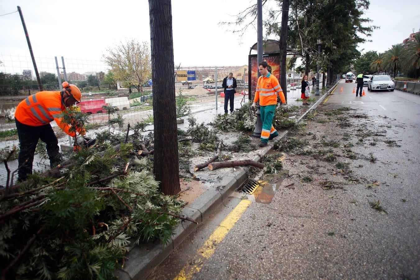 Las lluvias han cerrado puertos y derriba árboles. 