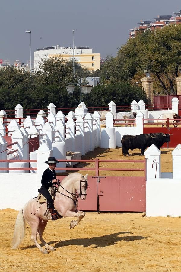 La Real Venta de Antequera abre de nuevo sus puertas