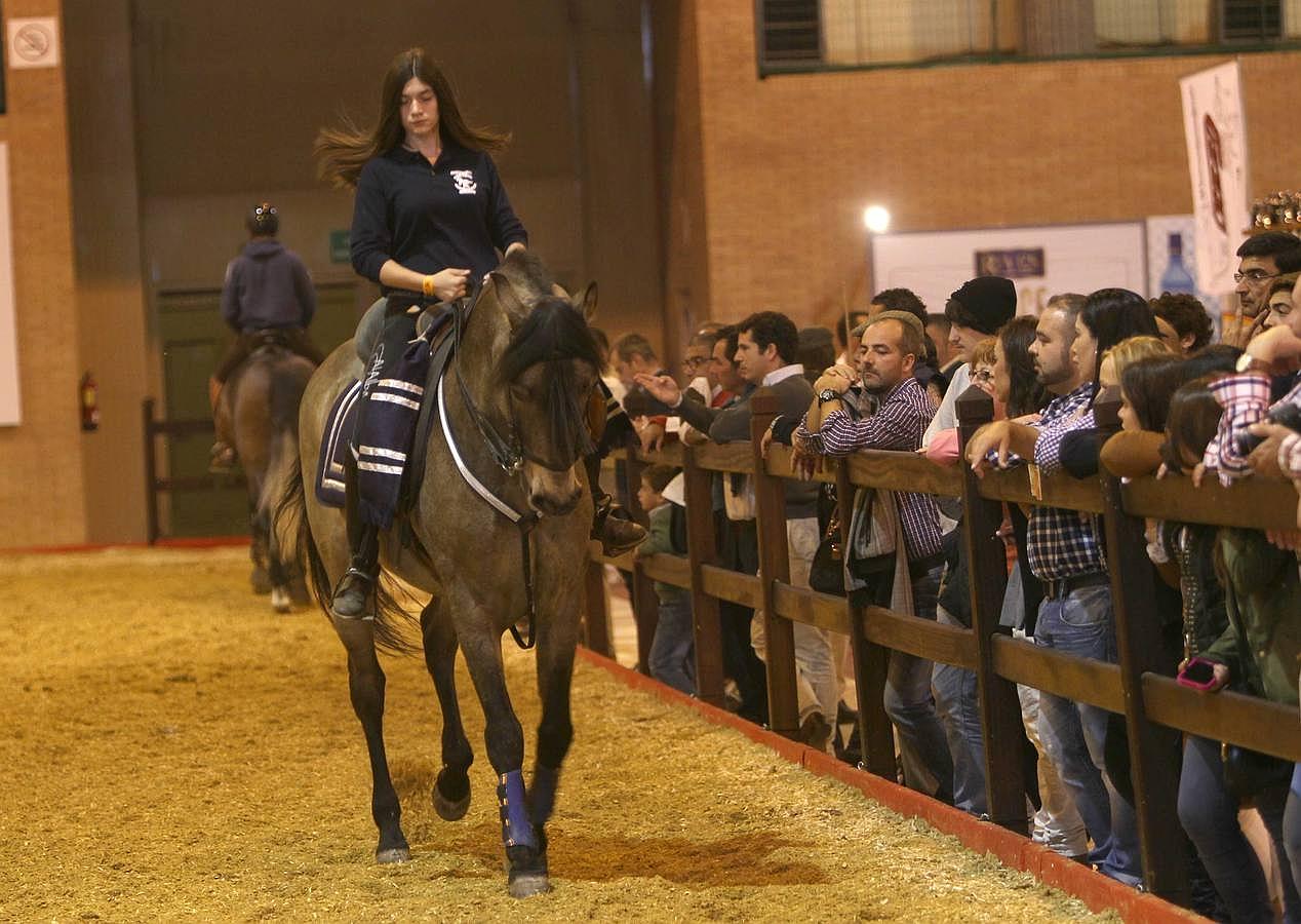 Abre sus puertas el Salón Internacional del Caballo en Sevilla