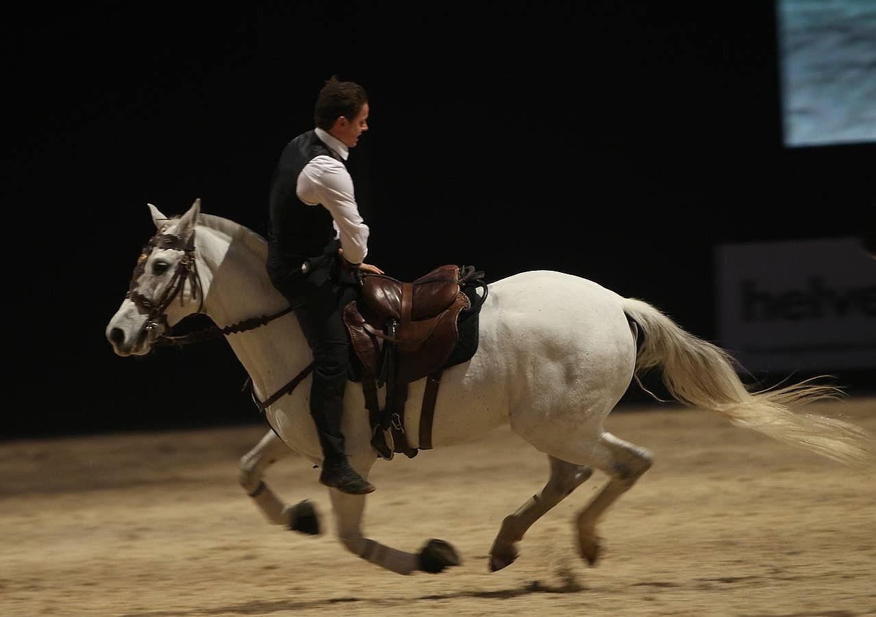 Abre sus puertas el Salón Internacional del Caballo en Sevilla