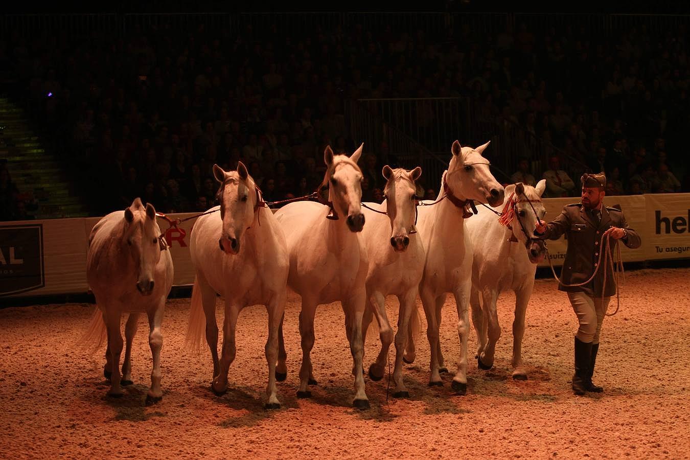 Abre sus puertas el Salón Internacional del Caballo en Sevilla