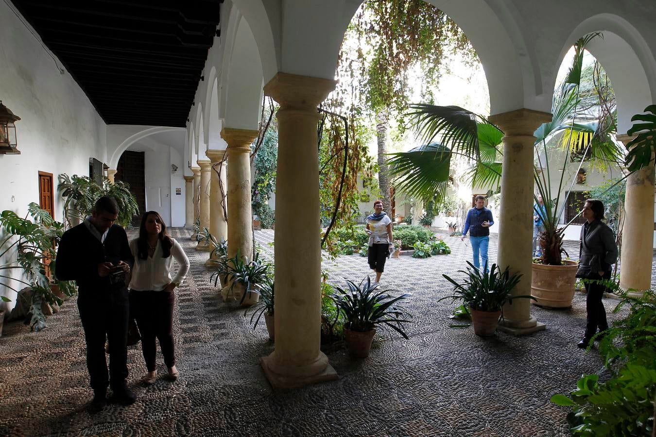 En imágenes, la jornada de puertas abiertas en los museos de Córdoba