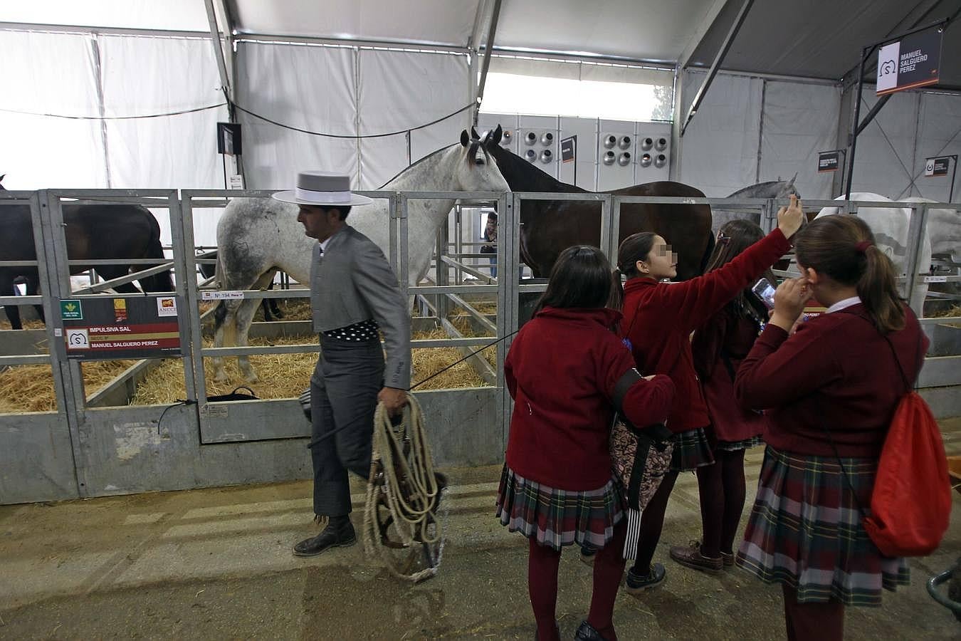 Jornada de negocios y niños en el Sicab