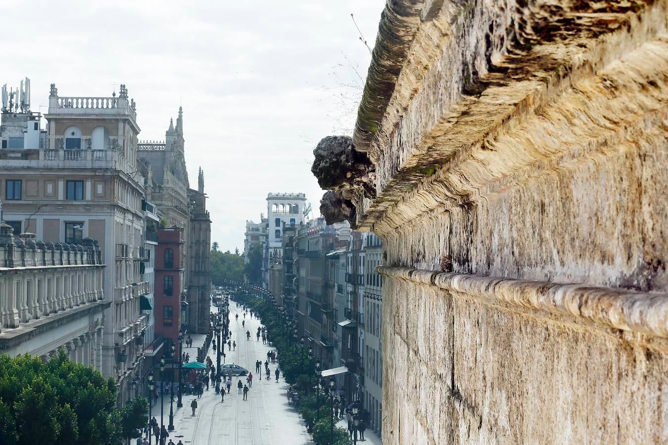 Obras de emergencia en la Catedral de Sevilla para evitar la caída de gárgolas a zonas de acceso