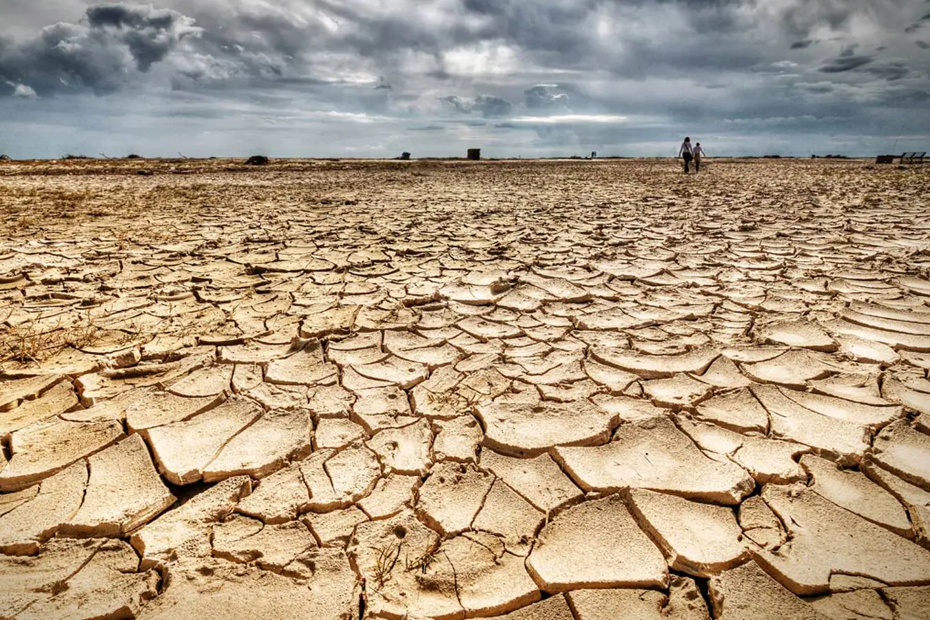 La sequía es una de las consecuencias del cambio climático