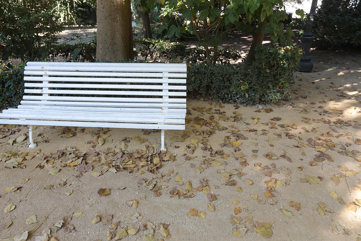 Abandono de los parques y jardines en Cádiz