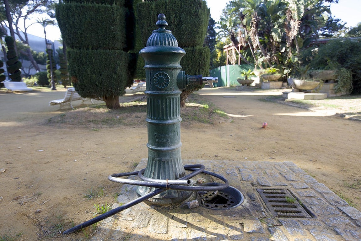 Abandono de los parques y jardines en Cádiz
