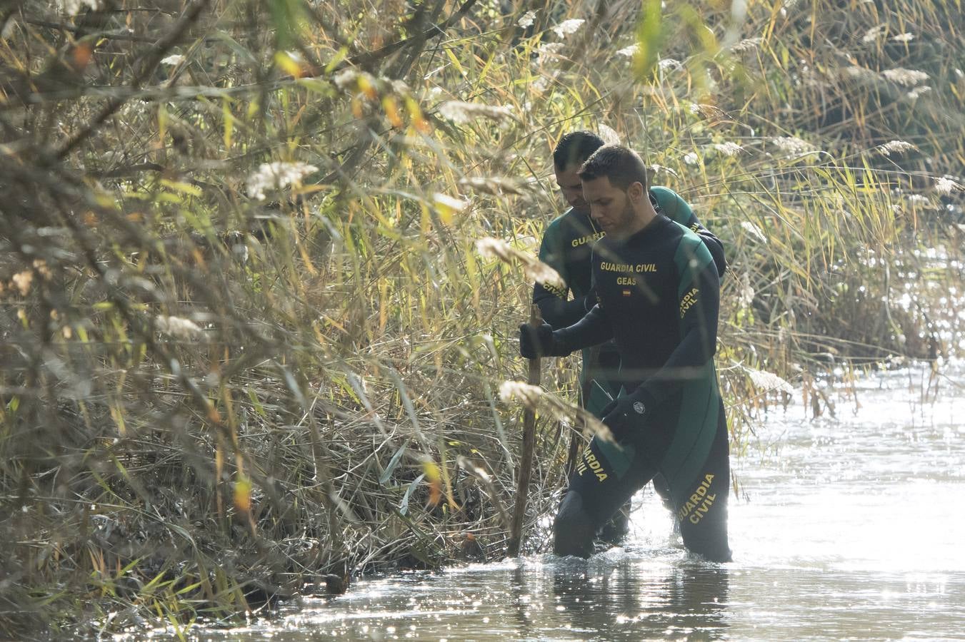 13.. Dos buzos de la Unidad Subacuática de la Guardia Civil (GEAS) rastrean los márgenes del río Guadarrama