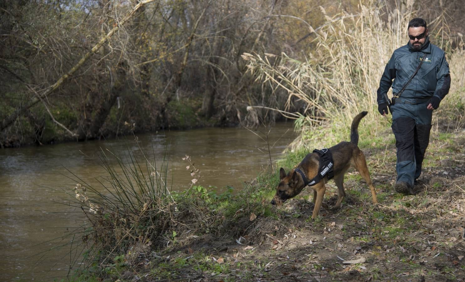 2.. Un agente de la Unidad Canina de la Guardia Civil rastrea el rúi Guadarrama durante la batida para encontrar a María Piedad