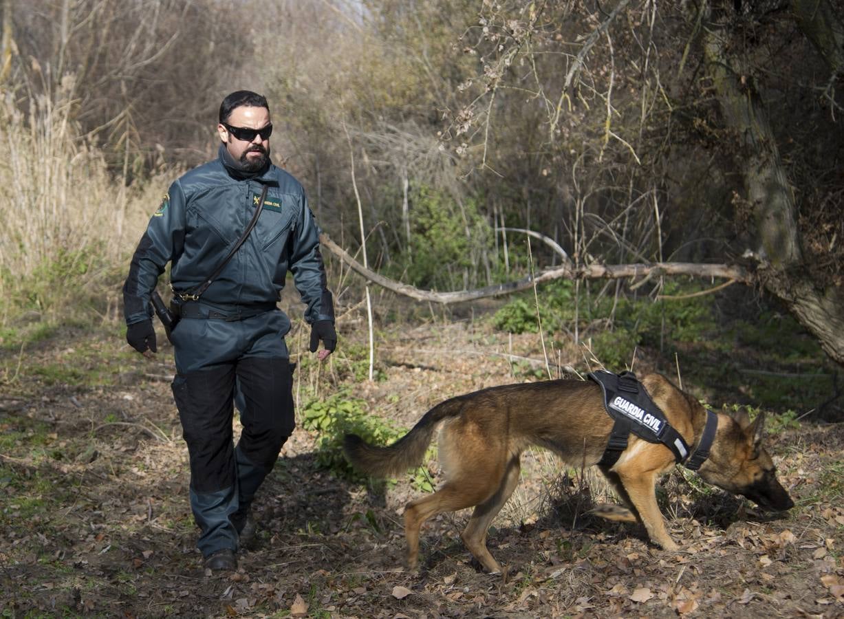 3.. Un agente de la Unidad Canina de la Guardia Civil rastrea el rúi Guadarrama durante la batida para encontrar a María Piedad