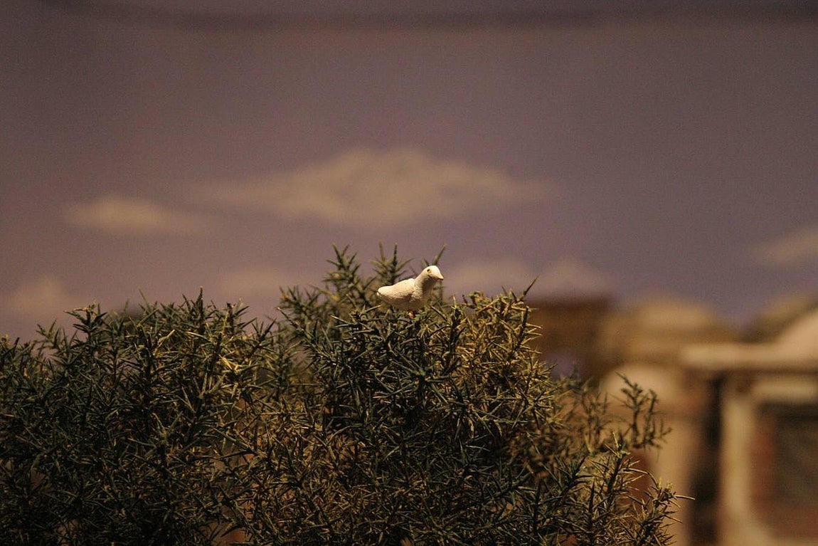 Belenes de cordobeses abiertos al público