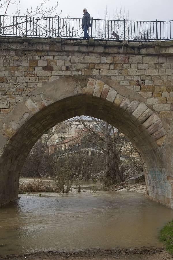 Caudal del Duero en Zamora. 
