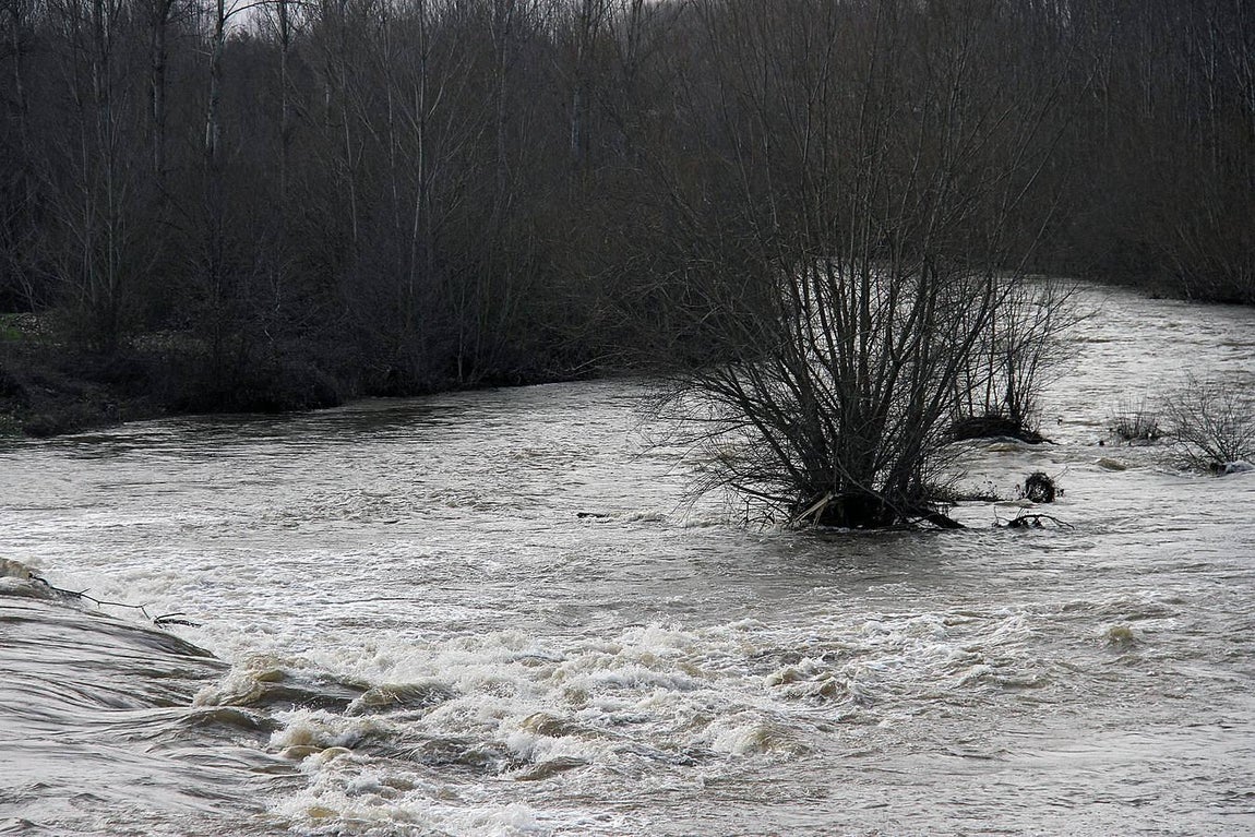 El río Órbigo, a su paso por la localidad de Villanueva de Carrizo (León). 
