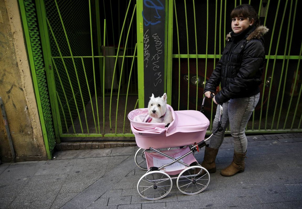 La misa de San Antón, en imágenes