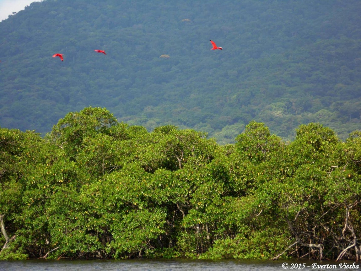 Día Internacional de los Humedales. Para fomentar la participación de los jóvenes, la Convención Ramsar ha organizado un concurso de fotografía desde el 2 de febrero hasta el 2 de marzo en el que puede participar cualquier persona de entre 15 y 24 años de edad