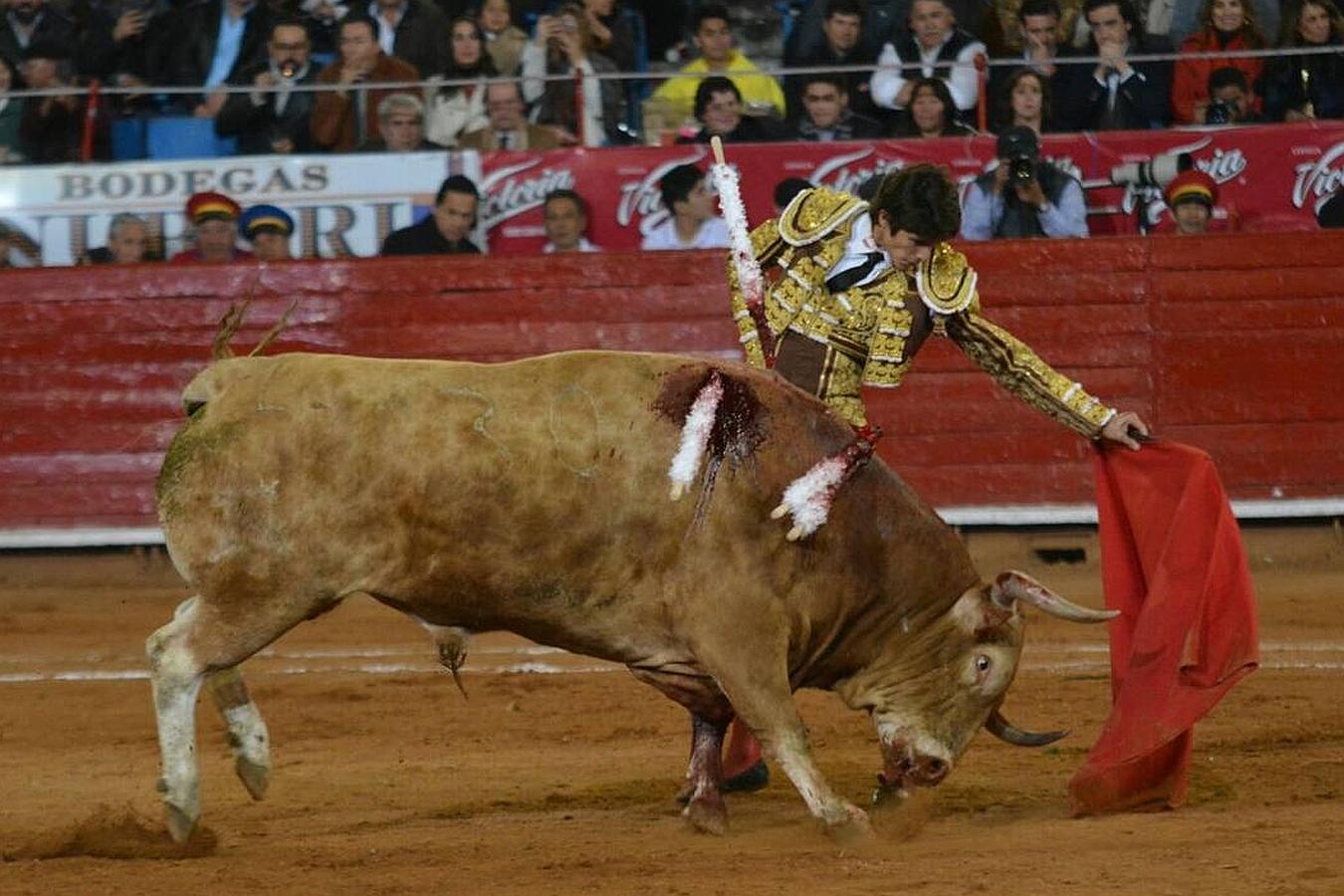 El percance y la gloria de Sebastián Castella en México, foto a foto