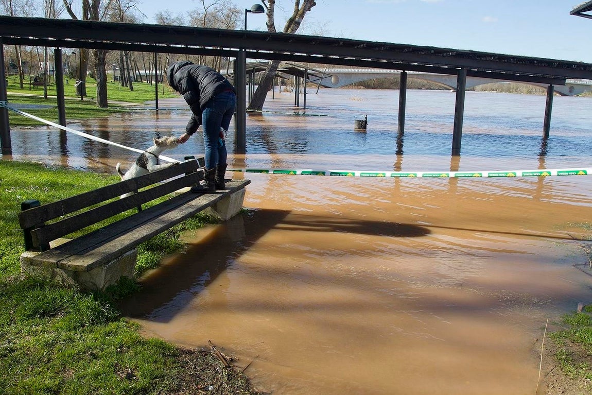 Crecida del río Duero, a su paso por Zamora. 