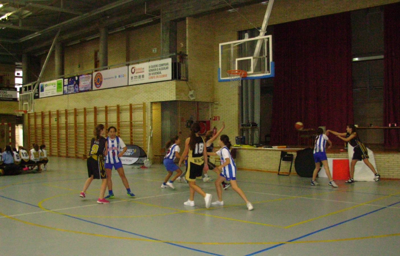 Baloncesto: Instituto Veritas vs Nuestra Señora del Recuerdo B