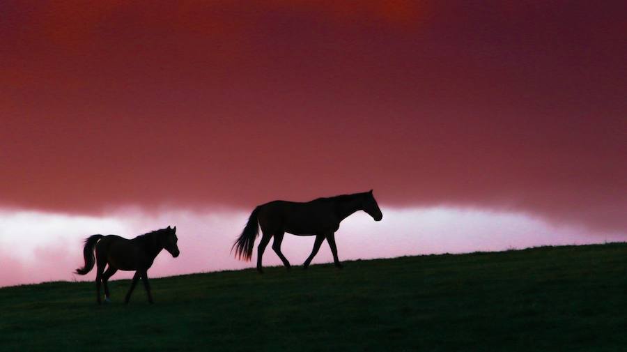 Las mejores fotos de Naturaleza. 