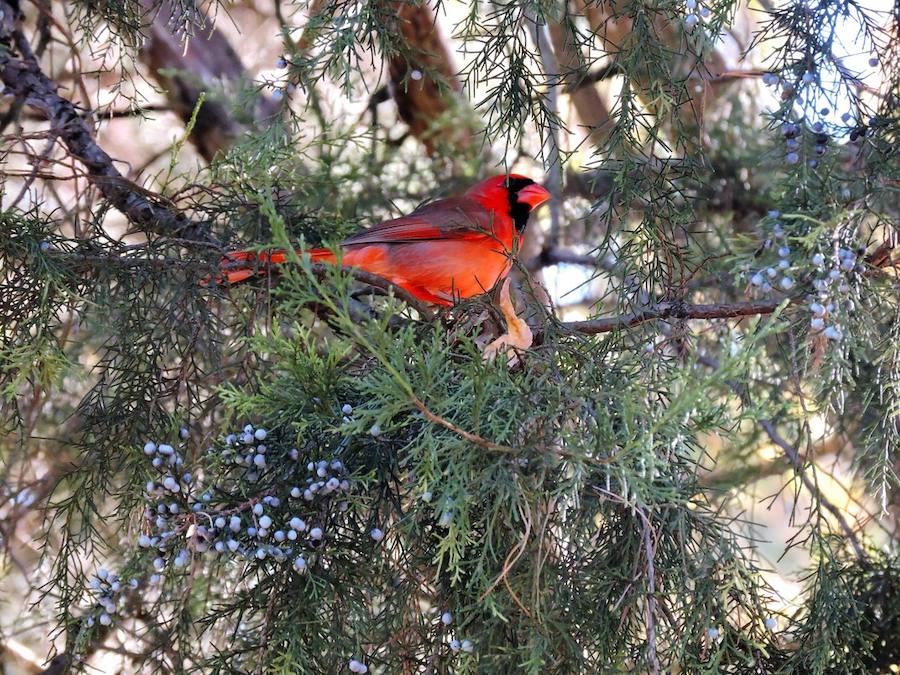 Las mejores fotos de Naturaleza. 