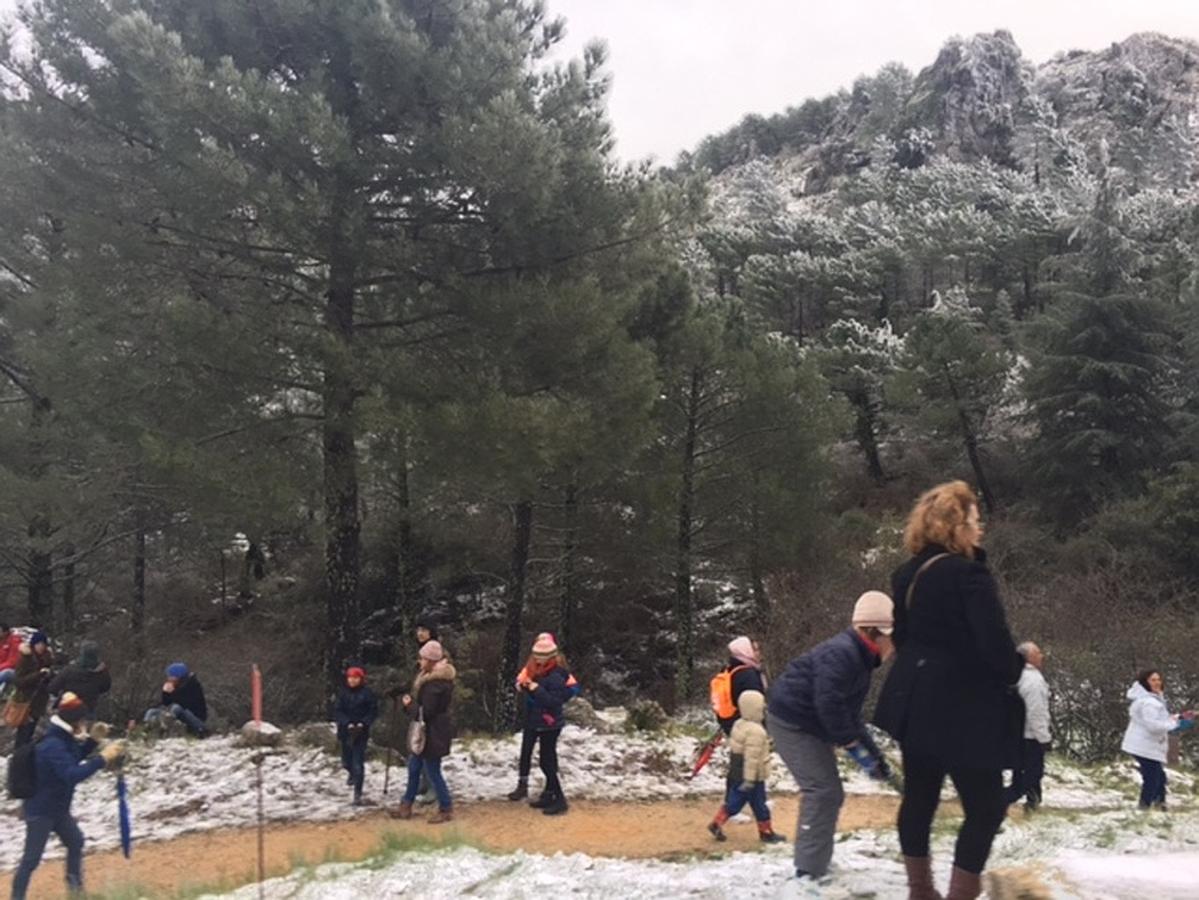 Grazalema y Villaluenga se tiñen de blanco