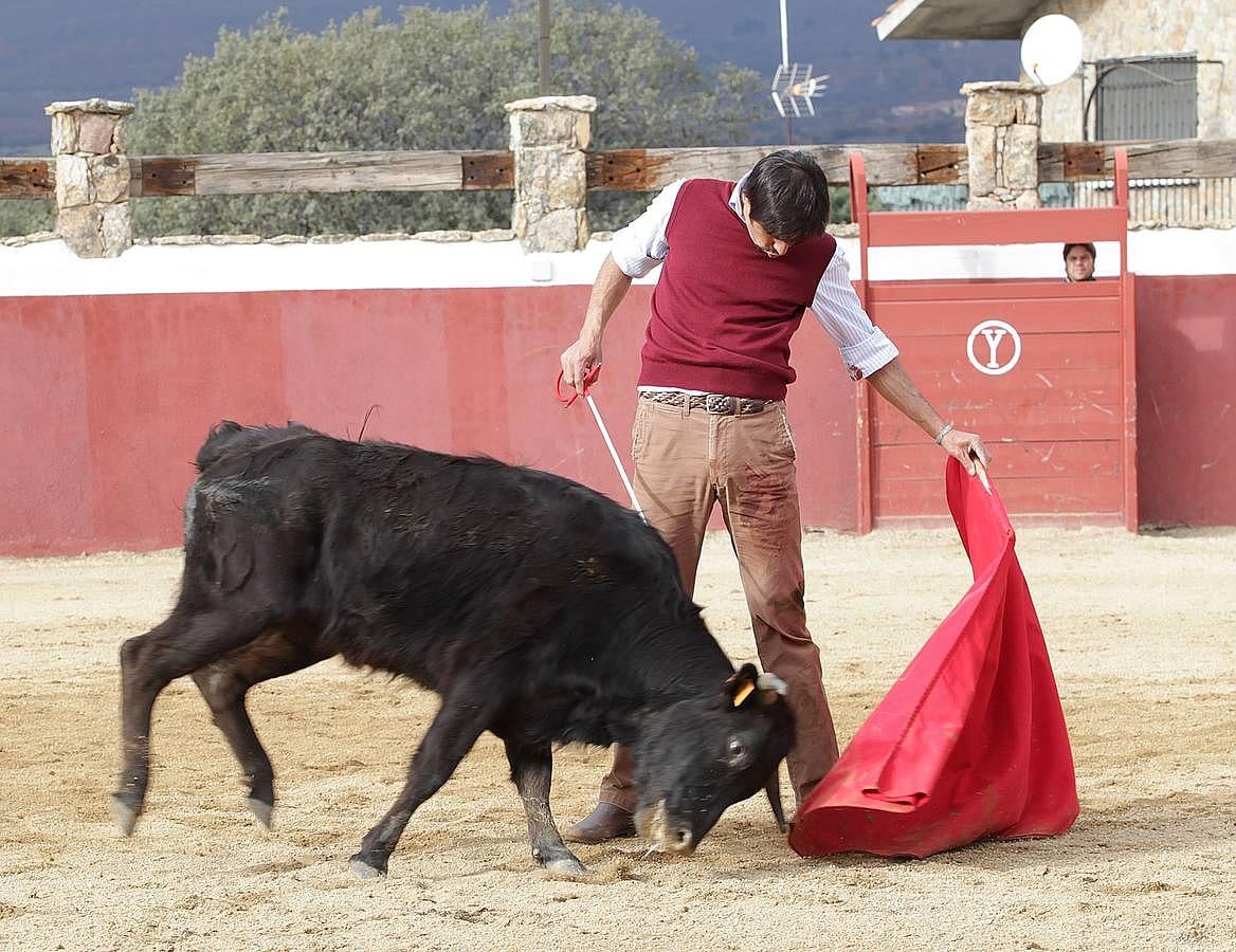 Así se prepara Miguel Ángel Perera para su reaparición en Olivenza