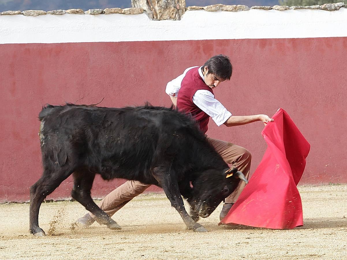 Así se prepara Miguel Ángel Perera para su reaparición en Olivenza