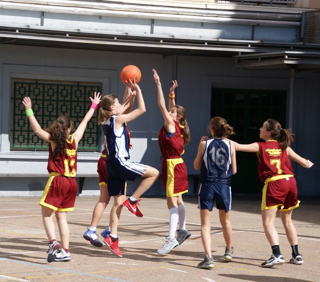 Baloncesto: Nuestra Señora de las Maravillas vs Virgen de Atocha