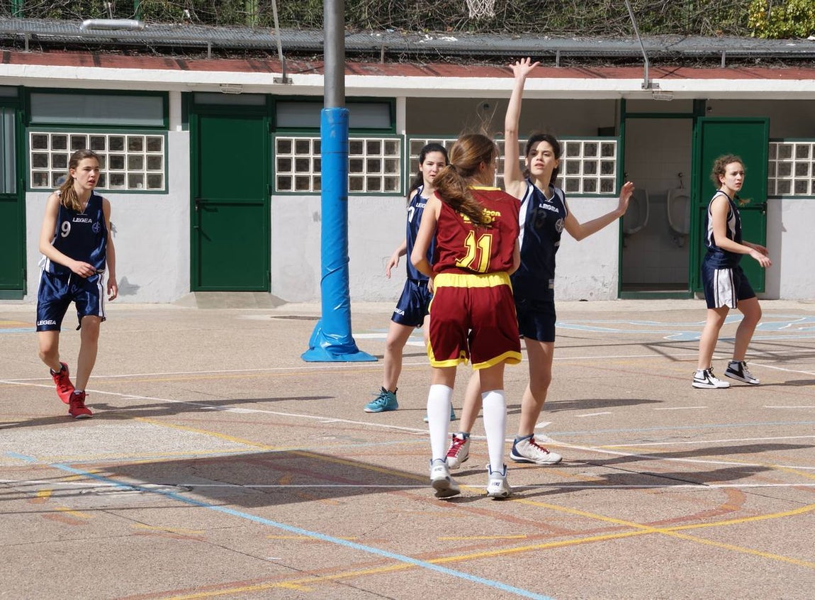 Baloncesto: Nuestra Señora de las Maravillas vs Virgen de Atocha
