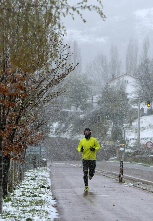 Nieve caída en zonas del norte. 