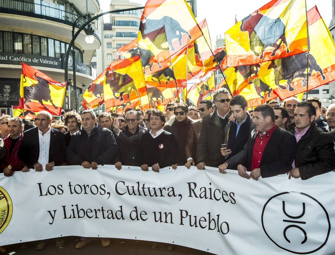 Imágenes de la multitudinaria manifestación taurina en Valencia