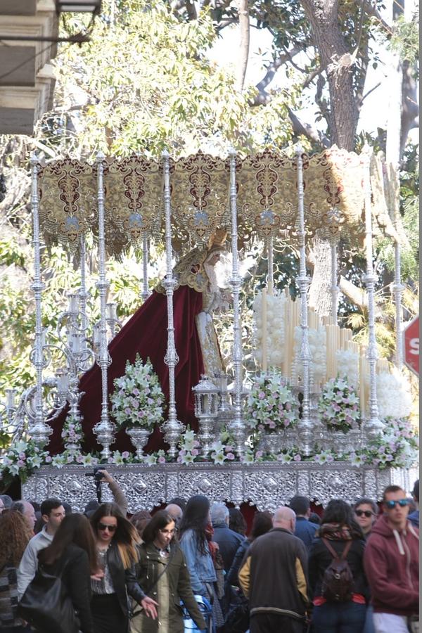 Fotos: La Borriquita en el Domingo de Ramos