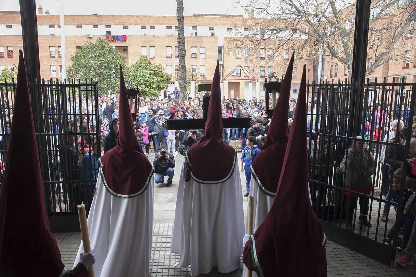 Las mejores imágenes de la Piedad