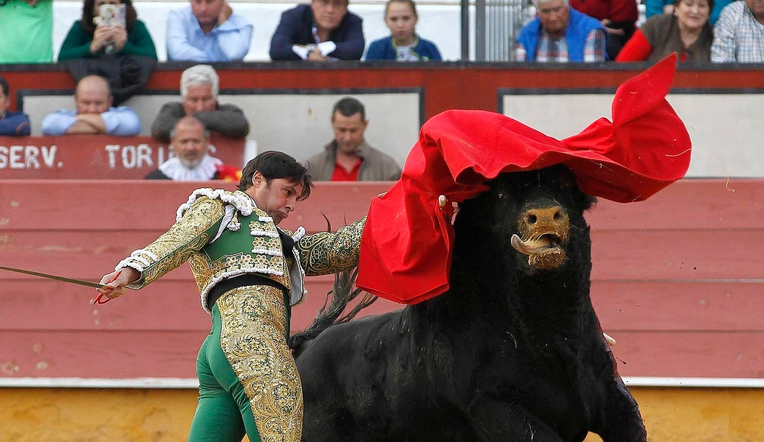 El festejo del Sábado Gloria de Cabra, en imágenes