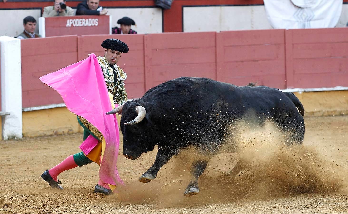 El festejo del Sábado Gloria de Cabra, en imágenes