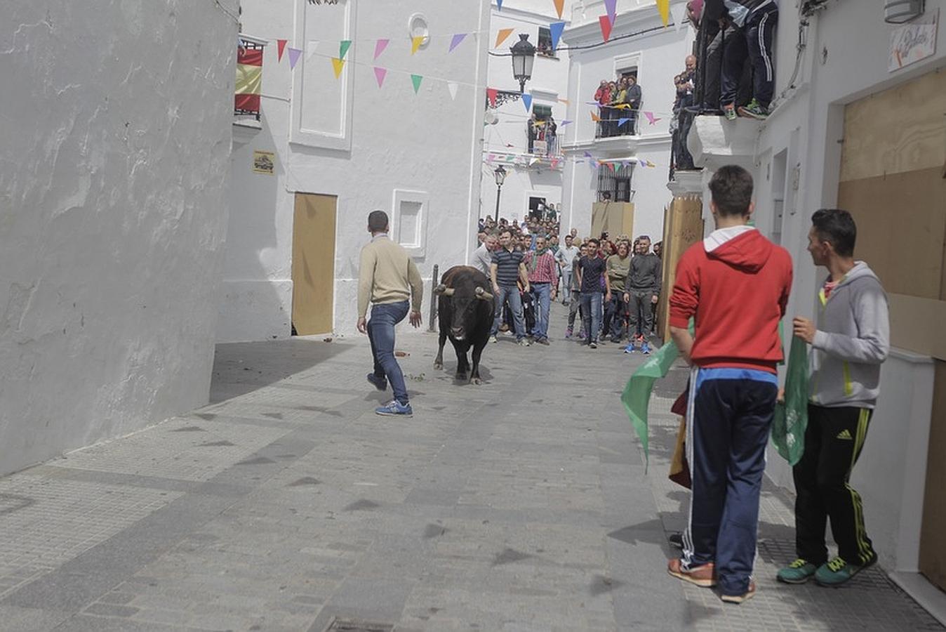 La lluvia desluce el tradicional toro &#039;embolao&#039; de Vejer