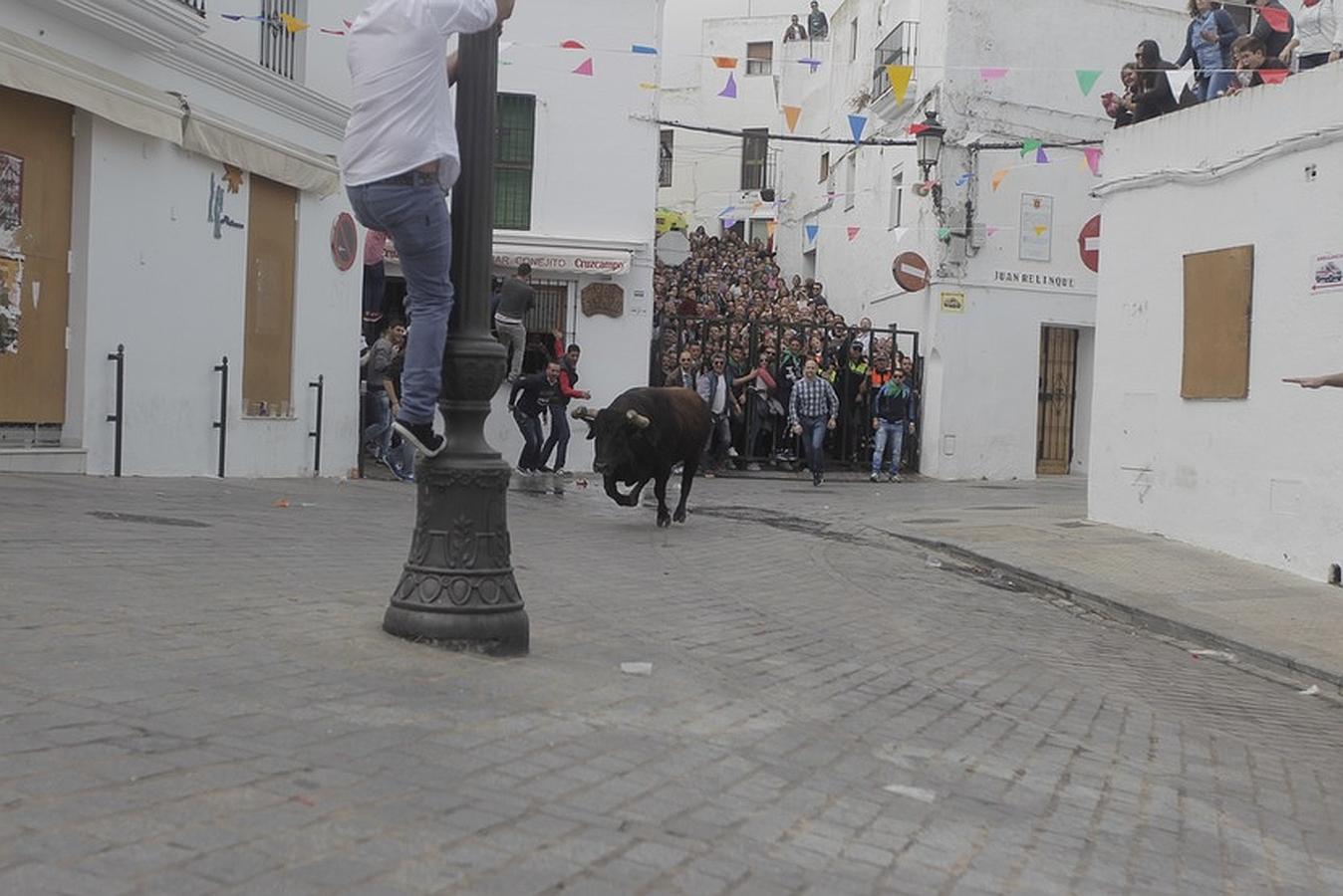 La lluvia desluce el tradicional toro &#039;embolao&#039; de Vejer