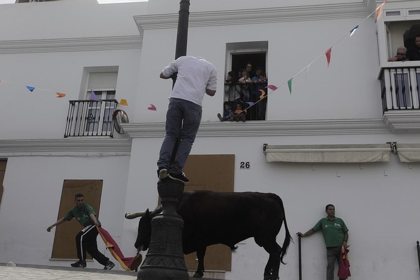 La lluvia desluce el tradicional toro &#039;embolao&#039; de Vejer