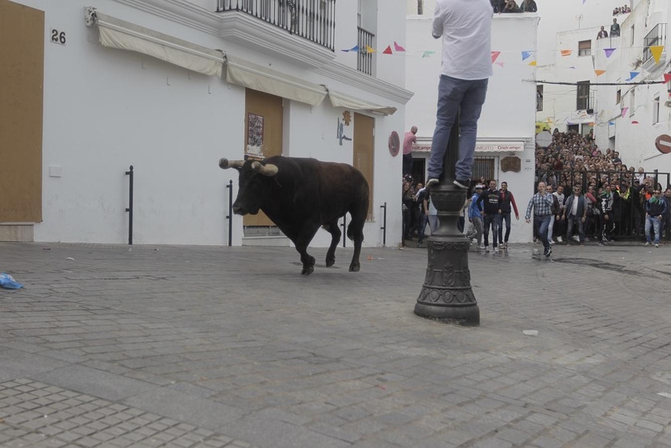 La lluvia desluce el tradicional toro &#039;embolao&#039; de Vejer