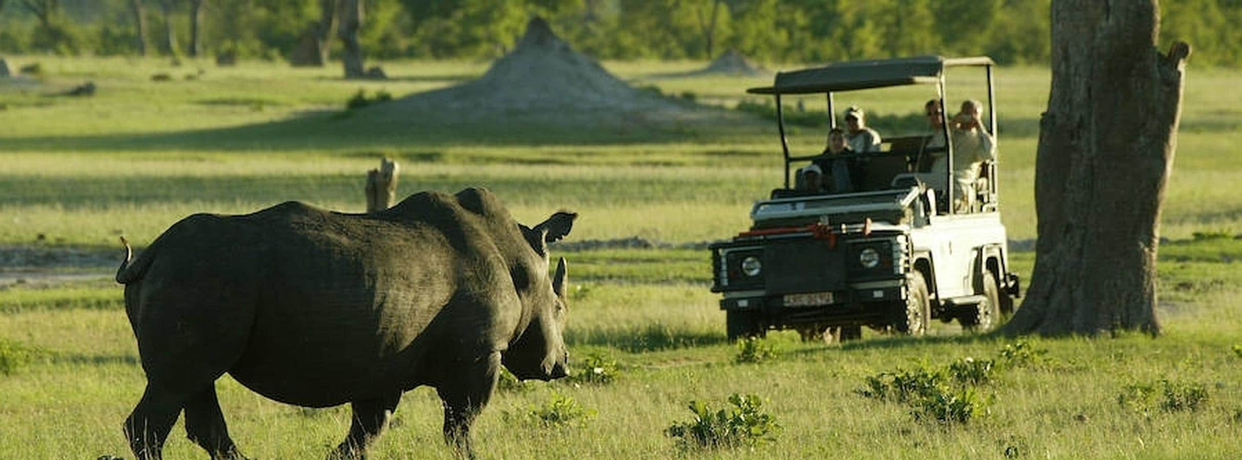 Botsuana, naturaleza en estado puro. Botsuana es conocida por tener una de las mejores áreas de fauna silvestre de todo el continente africano.  Fotos: The African Experiences