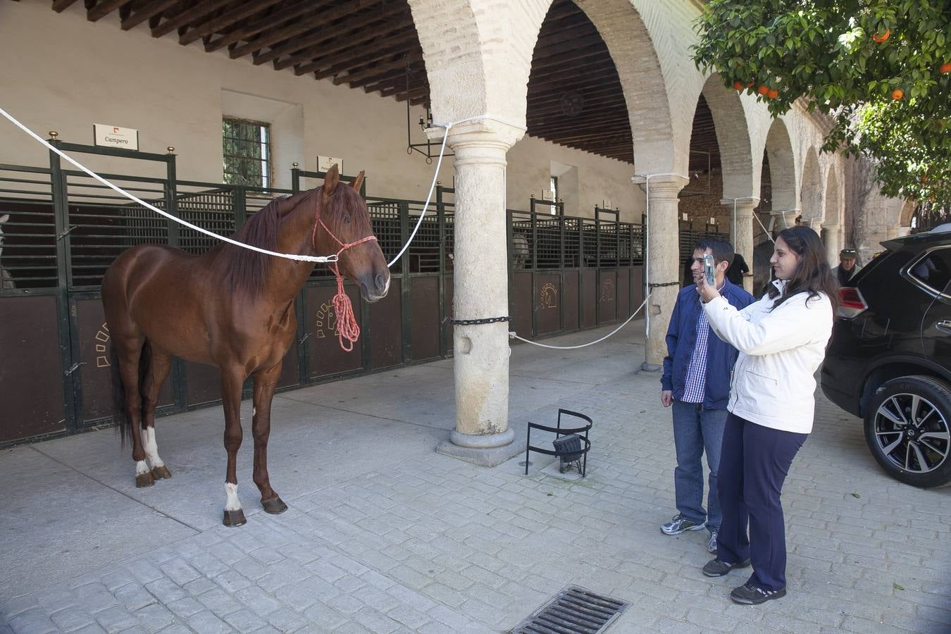 El caballo, protagonista del fin de semana en Córdoba