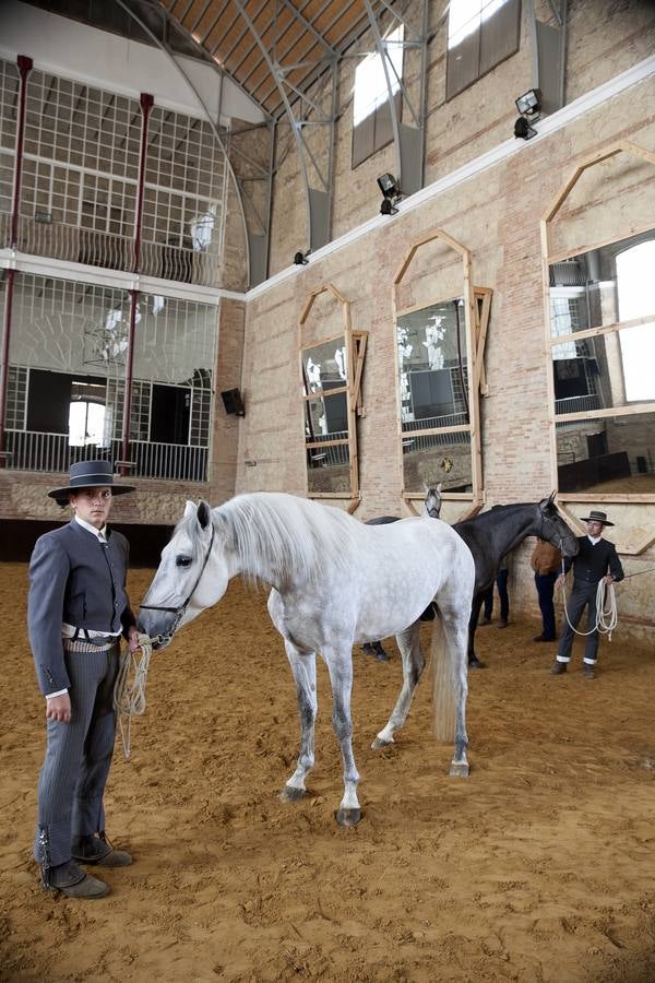 El caballo, protagonista del fin de semana en Córdoba