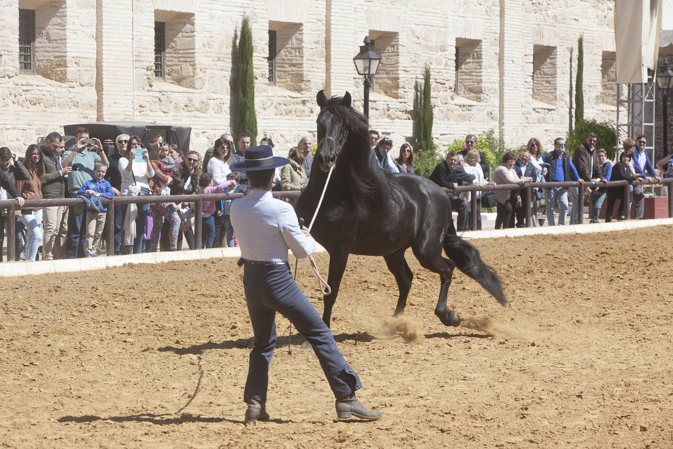 El caballo, protagonista del fin de semana en Córdoba