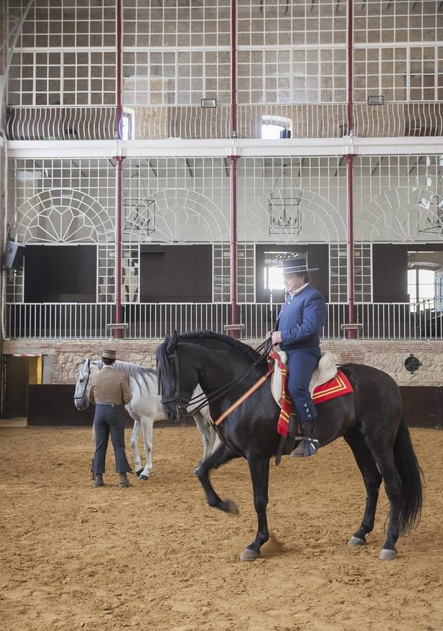 El caballo, protagonista del fin de semana en Córdoba