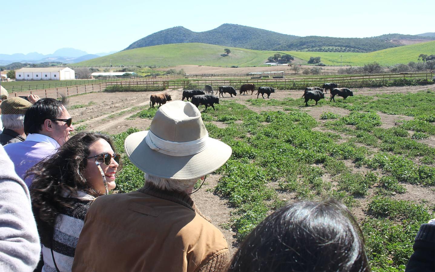 Visita a la ganadería de Fuente Ymbro, foto a foto