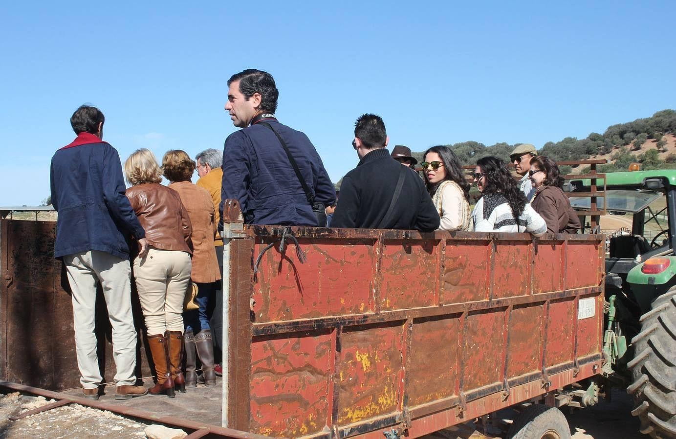 Visita a la ganadería de Fuente Ymbro, foto a foto