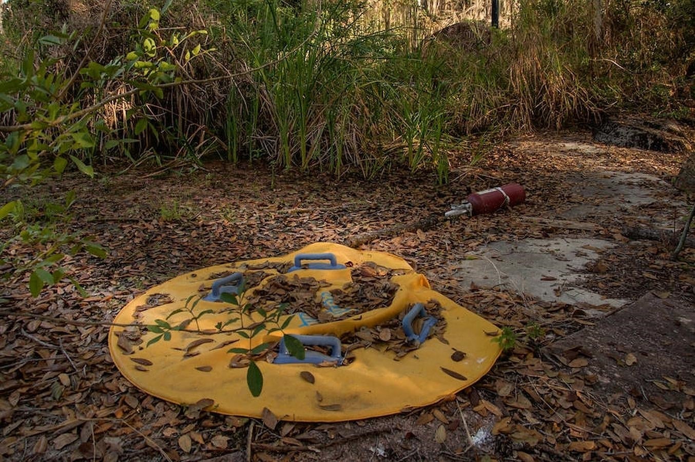 Parque acuático. Restos de lo que fue el parque acuático situado en Florida en medio del lago Bay Lake