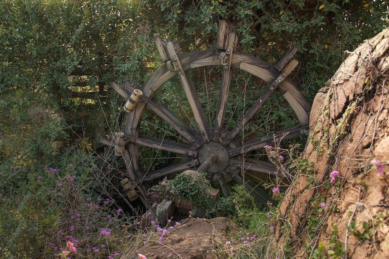 Noria de agua. Las intalaciones se quedaron obsoletas y esa fue la razón principal por la Disney cerró el parque