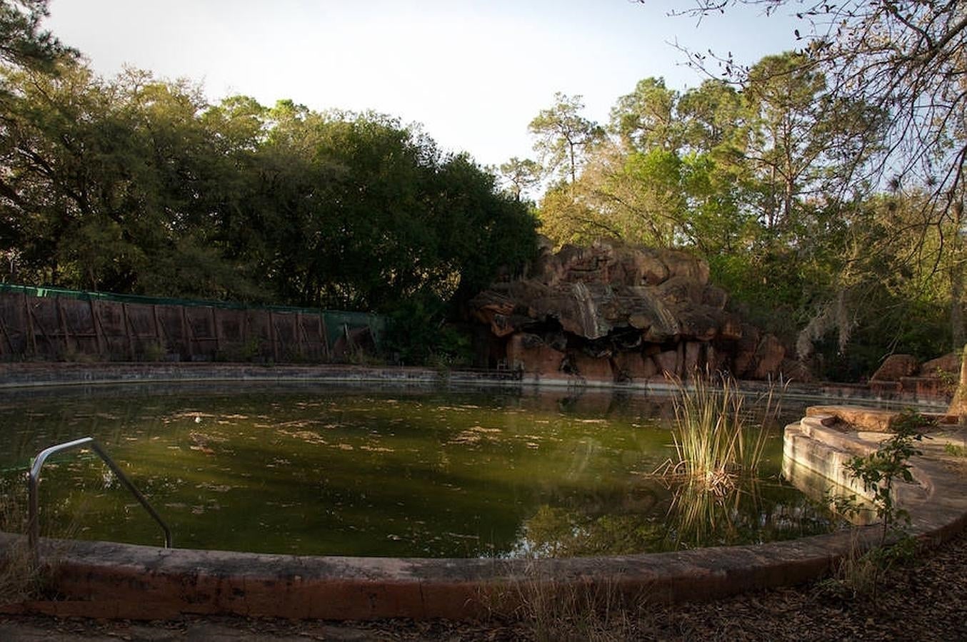 Piscina verde de River Country. Las intalaciones se quedaron obsoletas y esa fue la razón principal por la Disney cerró el parque