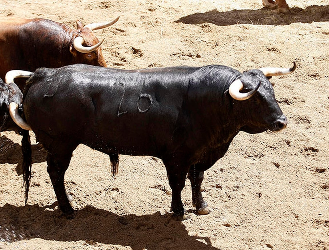 Estos son los juampedros para Ponce, Manzanares y Roca en la Feria de Abril